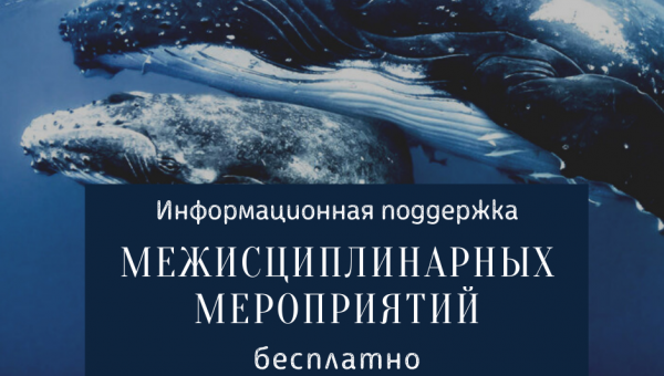Бесплатная информационная поддержка
